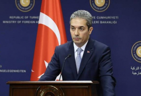 Ankara critique le message de l'APCE sur les élections anticipées