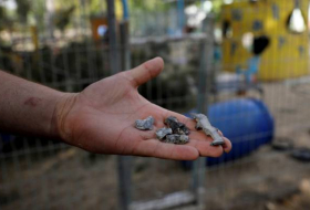 Des obus de mortier tirés de Gaza ont visé le sud d'Israël, selon Tsahal