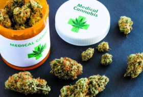Le cannabis médical 