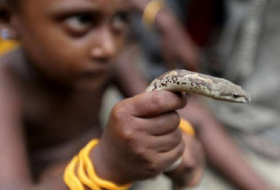 Une morsure de serpent fait deux morts en Inde