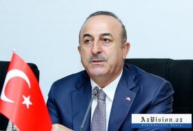 Movlud Cavusoglu: «L'Azerbaïdjan et la Turquie sont partenaires dans le projet TANAP»