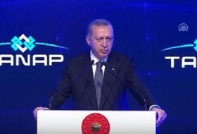 Erdogan: TANAP est un indicateur de confiance entre l'Azerbaïdjan et la Turquie