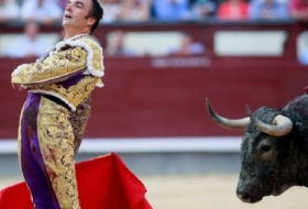 Espagne: Un matador grièvement blessé par un taureau