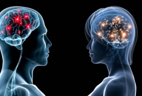 Cerveau : les éclairs de génie livrent leurs secrets