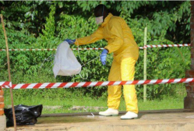 Découverte d’un nouveau type de virus Ebola en Sierra Leone