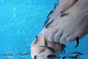 Une femme perd ses ongles après une pédicure avec des poissons