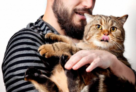 Pourquoi les propriétaires de chats sont plus courageux
