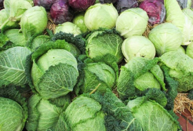 Manger des légumes pour éviter le cancer du côlon