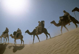 Le Sahara vert et fertile à nouveau? Des scientifiques ont trouvé la solution