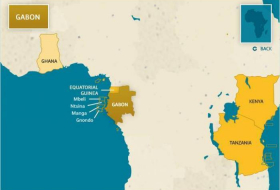 Gabon: découverte d’un important gisement de pétrole sur le puits Ruche Nord-Est