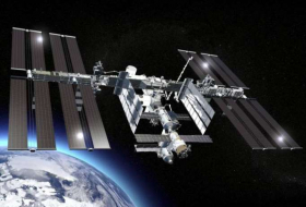 Des milliers de vers seront envoyés dans l'espace pour vivre à bord de l’ISS