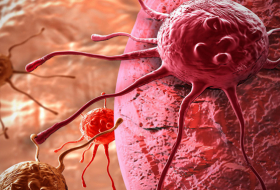 Une nouvelle étude fait la lumière sur la lutte contre le cancer