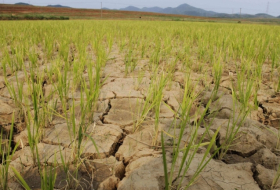 La science prédit l’arrivée de sécheresses catastrophiques