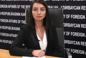 Le MAE d’Azerbaïdjan a réagi à la déclaration de Pashinian