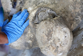 Une découverte rarissime faite lors de fouilles à Pompéi