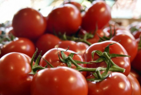 Bientôt des tomates «naturellement» pimentées dans nos assiettes ?