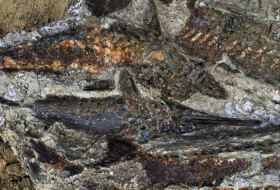 Extinction des dinosaures: découverte de fossiles du jour où l'astéroïde à frappé la Terre