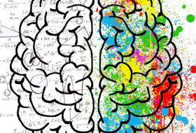 Cerveau droit ou cerveau gauche:   quelles différences ?  