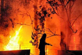 Le Sud de l'Australie en proie à de violents feux de forêt