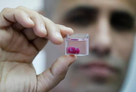   Des scientifiques présentent un prototype de coeur en 3D à partir de tissu humain  