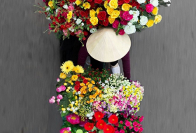  Vietnam:  toute la magie colorée des paniers portés par les vendeurs à bicyclette -  PHOTOS 