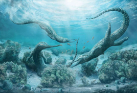 Ce crocodile de la taille d'une voiture terrorisait les océans il y a 210 millions d'années