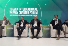   La coopération entre l’Azerbaïdjan et la Charte internationale de l'énergie au cœur des discussions  
