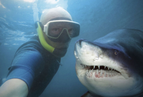 Le selfie cinq fois plus mortel que les attaques de requins  