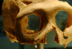 Néandertal utilisait bien de la colle il y a plus de 40.000 ans