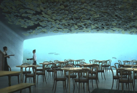  Voici le premier restaurant sous-marin d'Europe 