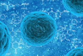 Des chercheurs assurent avoir découvert un virus qui tue des cellules cancéreuses