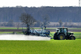   France:   cinq grandes villes dont Paris interdisent les pesticides sur leur territoire