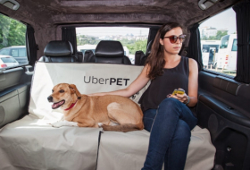 Uber lance une option UberPet pour voyager avec son animal de compagnie