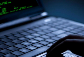     Géorgie:   2000 sites internet cibles d'une cyber-attaque  
