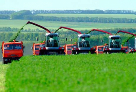   La production agricole augmente de plus de 7% en Azerbaïdjan  
