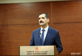   «L'achèvement de la construction du TANAP est un événement très important pour l'Azerbaïdjan, la Turquie et l'Europe»  