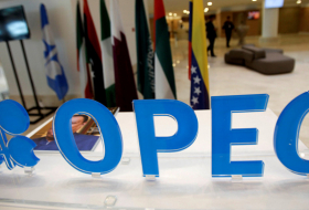   Le ministre azerbaïdjanais de l'Energie participera à la 7e réunion ministérielle de l'OPEP  