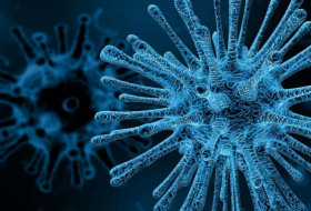 La Chine rend publique la photo du mortel coronavirus