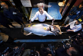 Japon : un thon géant vendu 1,5 million d'euros aux enchères