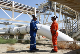   233,1 millions de barils de pétrole ont été transportés par le gazoduc Bakou-Tbilissi-Ceyhan  