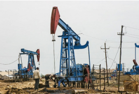   La production quotidienne de pétrole en Azerbaïdjan en janvier s'est élevée à 769 000 barils  