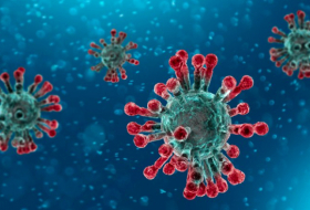 Ce qu'a révélé l'autopsie du premier malade tué par le coronavirus