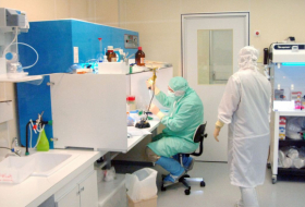 Coronavirus: la Russie annonce tester un vaccin sur des animaux