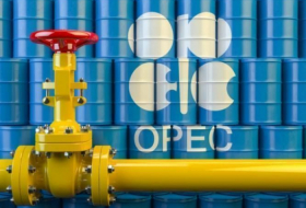   La réunion ministérielle de l'OPEP et non-OPEP se tiendra le 6 avril  