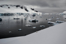 Cette découverte improbable en Antarctique en dit long sur le climat qui y régnait
