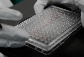 Les Etats-Unis lancent un plan massif de test des vaccins expérimentaux contre le coronavirus