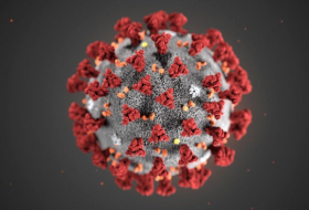 Cette maladie pourrait être déclenchée par le coronavirus, selon des scientifiques