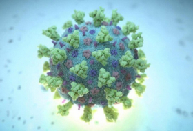 Coronavirus: des chercheurs suédois découvrent la cause des complications mortelles