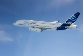 La compagnie Airbus souhaite s'inspirer des oies sauvages pour économiser du carburant