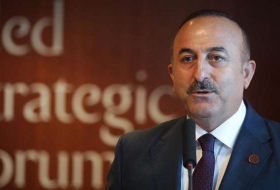   Le chef de la diplomatie turque félicite l'Azerbaïdjan pour la libération de la ville de Choucha  